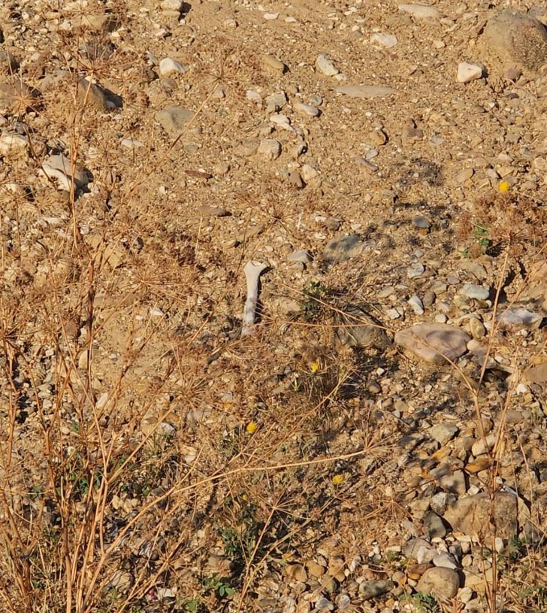 Toprak kayması sonrası korkutan manzara: Görür görmez polisi aradı! Önce morga, sonra Adli Tıp Kurumu'na gönderildi 3